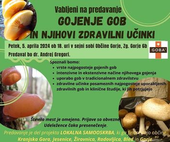 Gojenje gob in njihovi zdravilni učinki