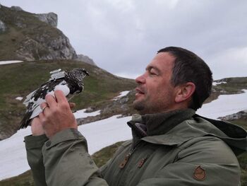 Predavanje: Sodobne raziskave divjega petelina, belke in planinskega orla v Triglavskem narodnem parku