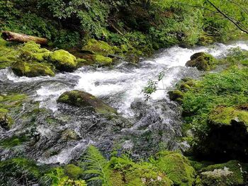 Predavanji: Podzemne vode Julijskih Alp in Izvir Lipnik v dolini Radovne