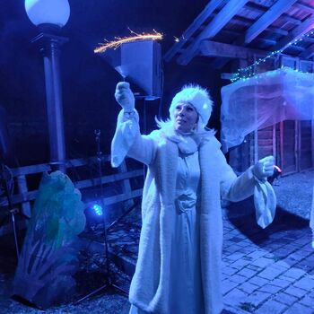 Otroški program: Glasbeno-animacijska predstava Snežna vila