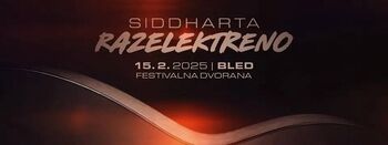 Siddharta – Razelektreno - RAZPRODANO