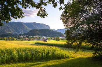 Mladi talenti se predstavijo