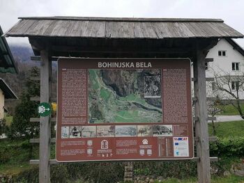 Voden ogled Bohinjske Bele