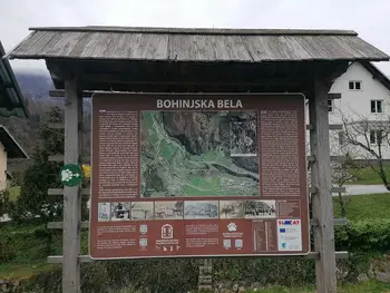Voden ogled Bohinjske Bele