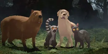 Kino nagrajenci: Valovanje