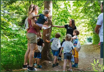 Dopoldanske počitniške gozdne urice za otroke