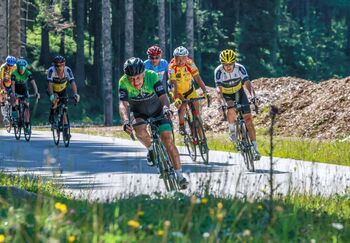 52. tradicionalna mednarodna kolesarska dirka za Pokal Bleda