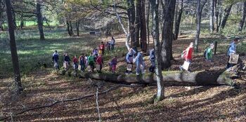 Počitniški sprehod: lov za zakladom