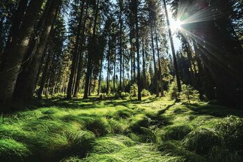 Simpozij: Eno zdravje – en planet