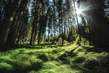 Simpozij: Eno zdravje – en planet