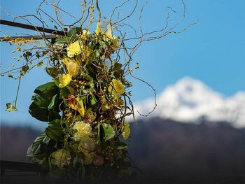 4. razstava mladih vrtnarjev in cvetličarjev