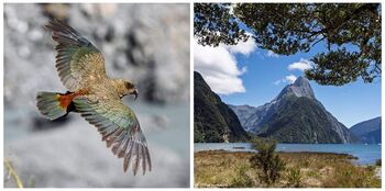 Potopisno predavanje o Novi Zelandiji: Aotearoa