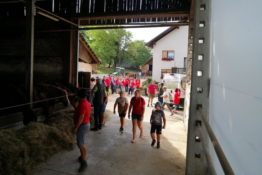 Višnjanski konjarji na 22. pohodu