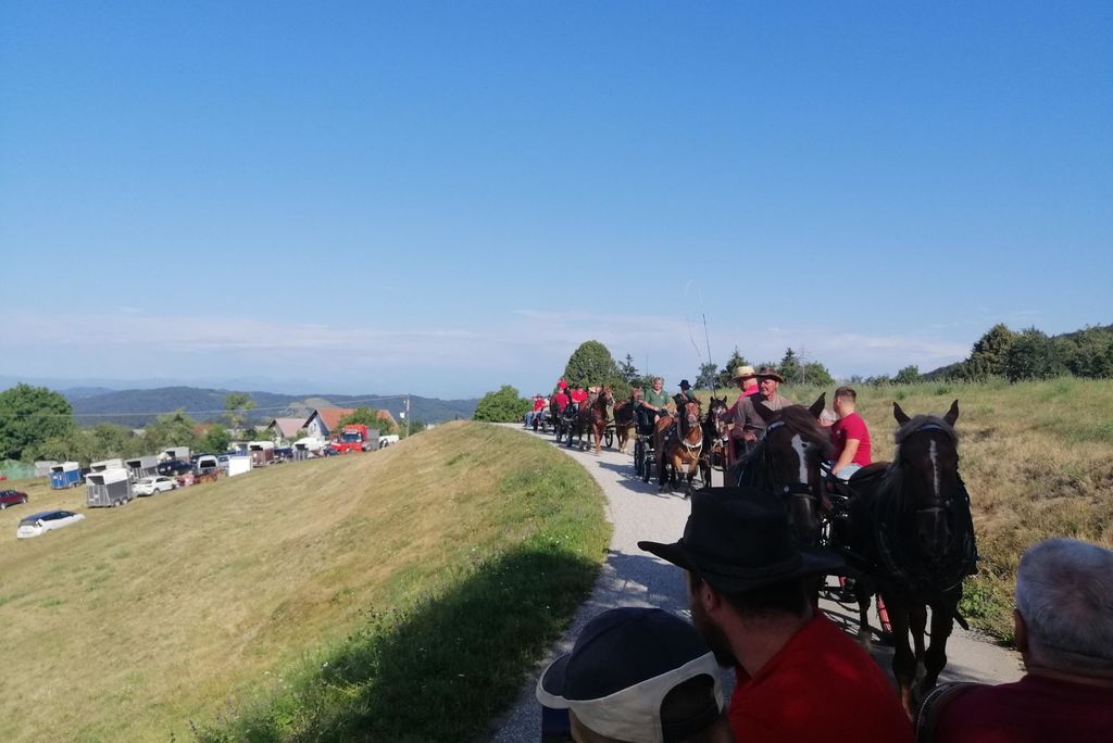 Višnjanski konjarji na 22. pohodu