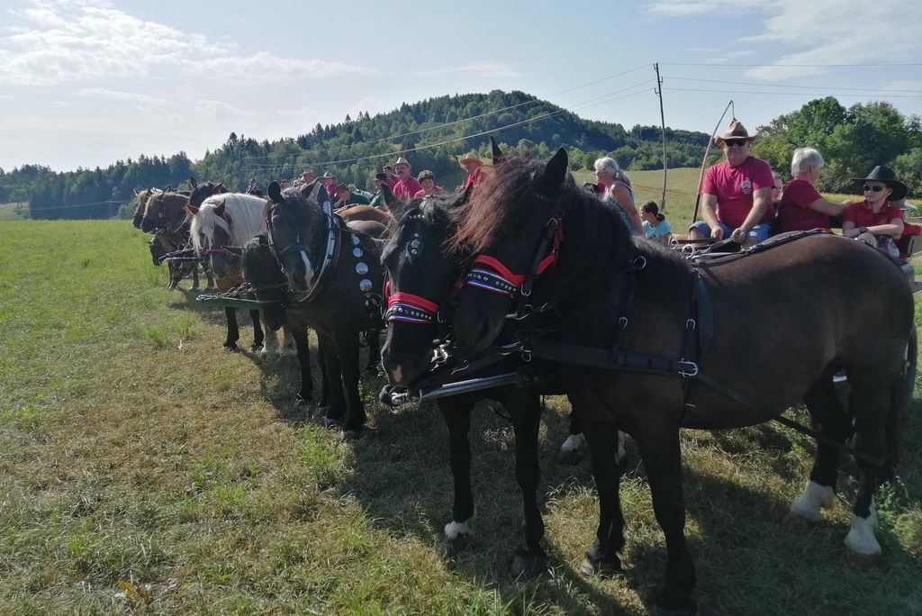 Višnjanski konjarji na 22. pohodu