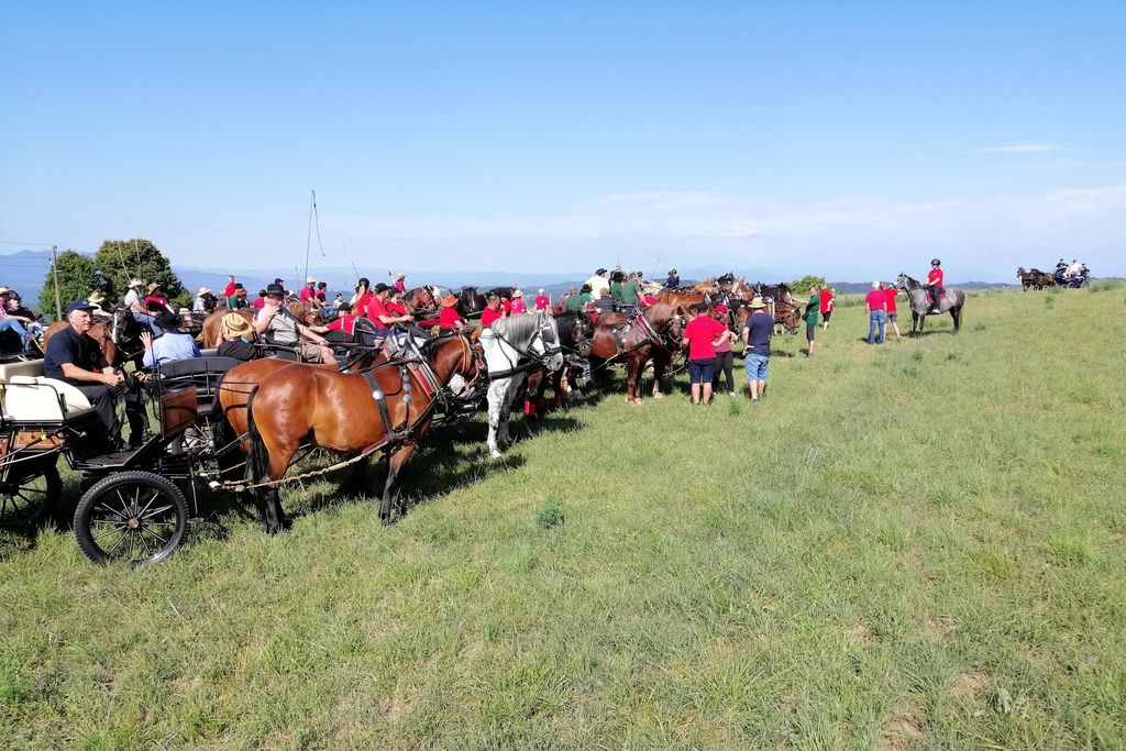 Višnjanski konjarji na 22. pohodu