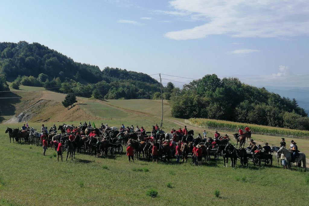 Višnjanski konjarji na 22. pohodu