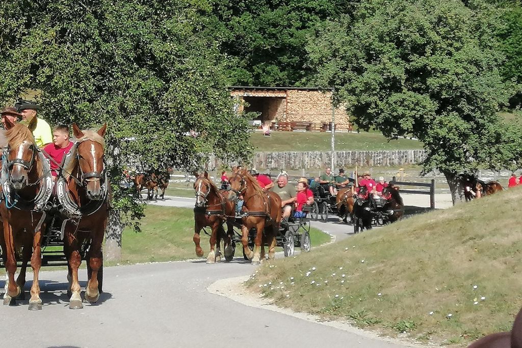 Višnjanski konjarji na 22. pohodu