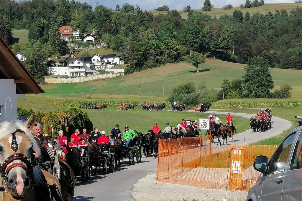 Višnjanski konjarji na 22. pohodu