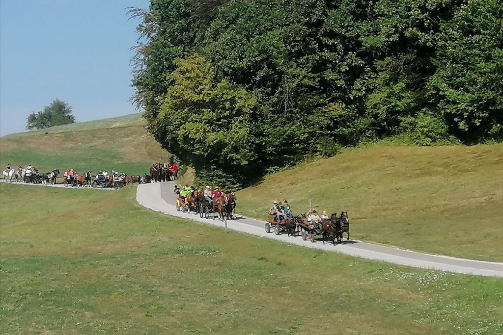 Višnjanski konjarji na 22. pohodu