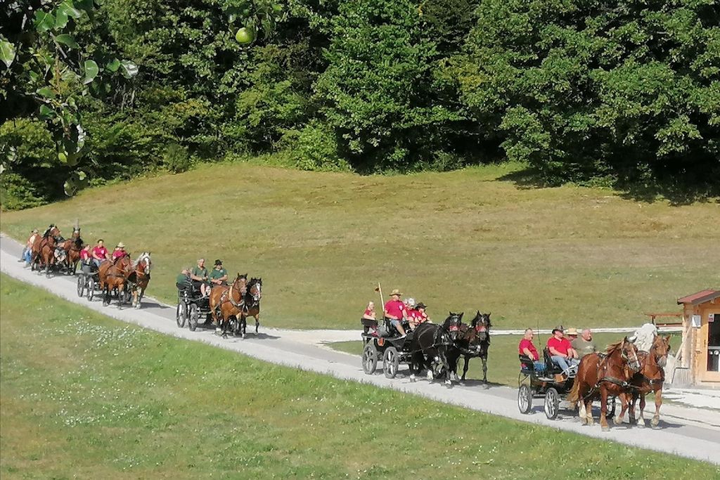 Višnjanski konjarji na 22. pohodu