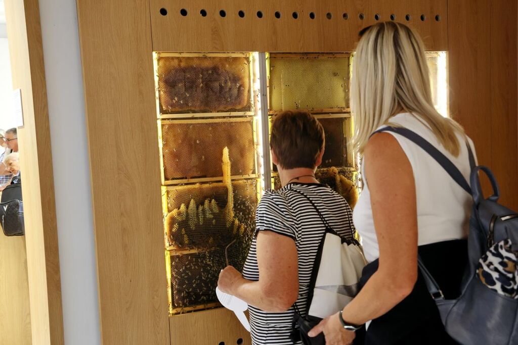 Romarska agencija Aritours 30-letnico delovanja obeležila v naši občini