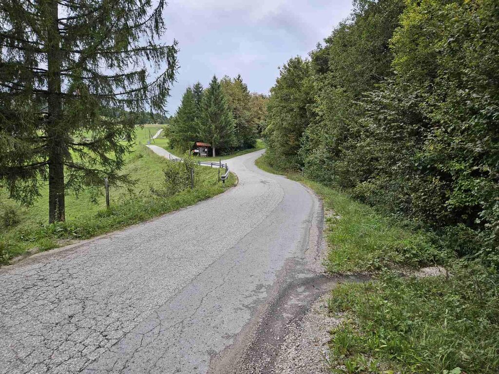 Začela se bo prenova ceste proti Leskovcu nad Višnjo Goro