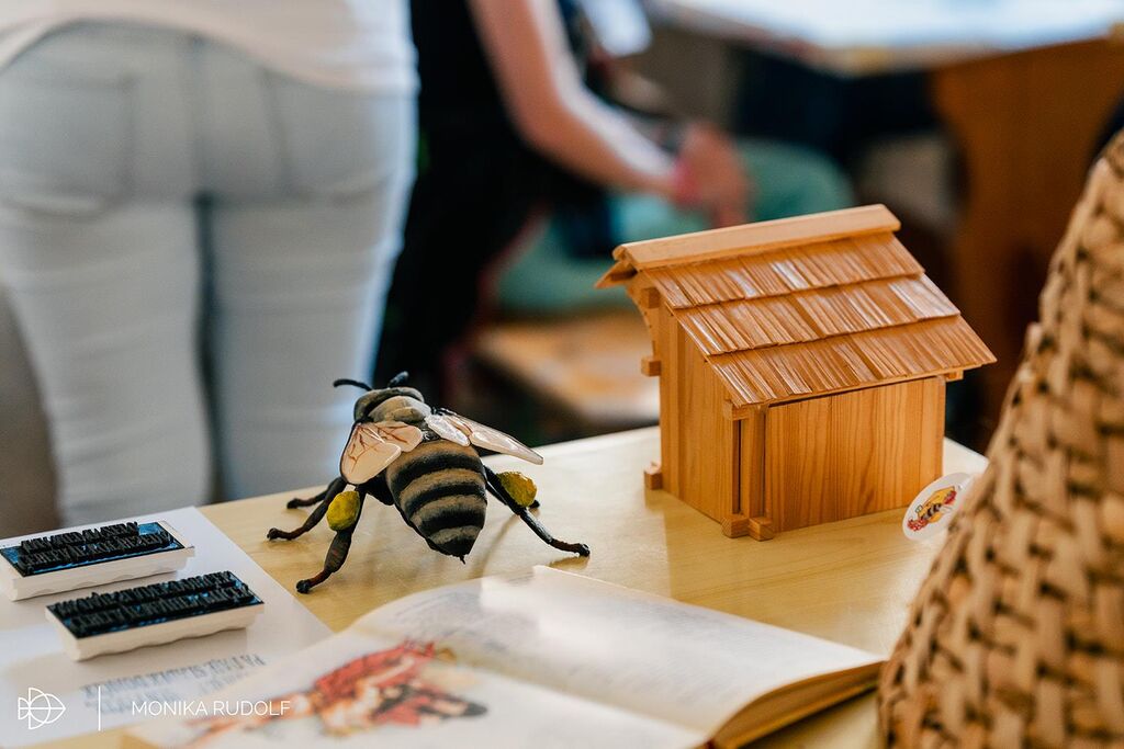 Na festivalu Stična mladih 5500 udeležencev