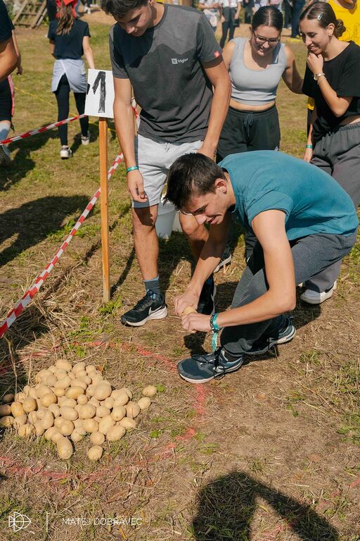 Na festivalu Stična mladih 5500 udeležencev