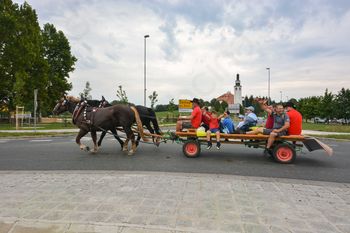 16. pohod Društva prijateljev konj Višnja Gora