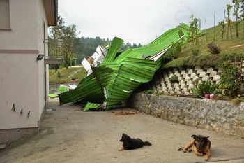 FOTO: Veter odkrival strehe in lomil drevesa