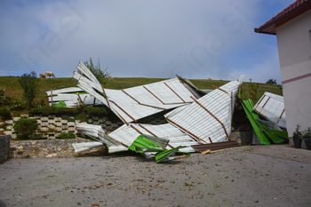 FOTO: Veter odkrival strehe in lomil drevesa