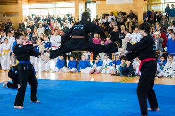 5. Taekwondo Pokal Ivančna Gorica