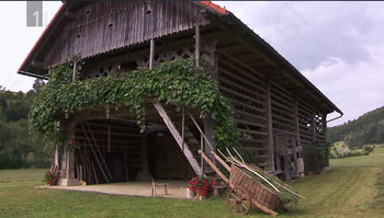 Naši kozolci v dokumentarnem filmu TV Slovenija