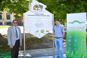 Svetovnega dne čebel bomo deležni tudi v Občini Ivančna Gorica