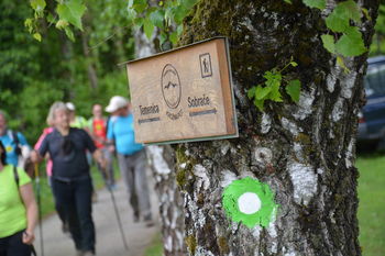 Podali se bomo na 6. pohod po Krožni poti Prijetno domače