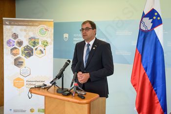 Pred vrati je Svetovni dan čebel s pričetkom v Višnji Gori