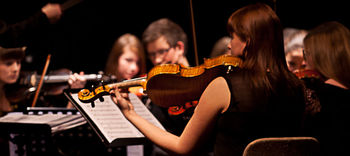 Na odkritju obeležja Kranjski čebeli 100-članska zasedba simfoničnega orkestra glasbenikov iz naše občine