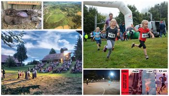 Napovednik dogodkov v občini Ivančna Gorica za prihajajoči vikend