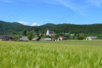 Začenjajo se Kozmijanovi dnevi 2018 na Krki Začenjajo se Kozmijanovi dnevi 2018 na Krki