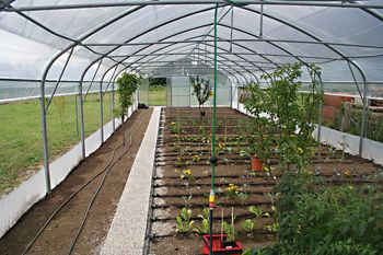 Vabljeni na predavanje Kmetijske svetovalne službe Ivančna Gorica Vabljeni na predavanje Kmetijske svetovalne službe Ivančna Gorica