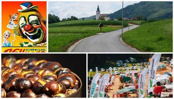 Napovednik dogodkov v občini Ivančna Gorica za prihajajoči vikend