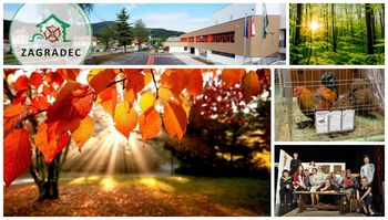 Napovednik dogodkov v občini Ivančna Gorica za prihajajoči vikend