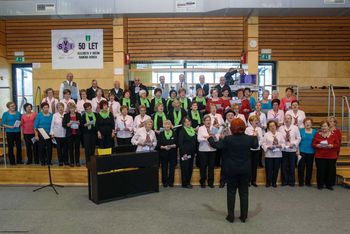 V Ivančni Gorici je potekalo tradicionalno srečanje upokojencev treh občin