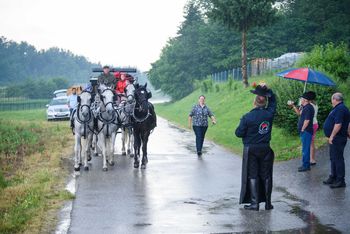 Z lipicansko peterovprego od Lipice do Dunaja tudi skozi našo občino