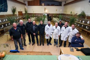 Izjemno uspešna razstava malih pasemskih živali v Ivančni Gorici