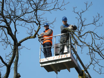 OBVESTILO – obrezovanje drevja po Ivančni Gorici
