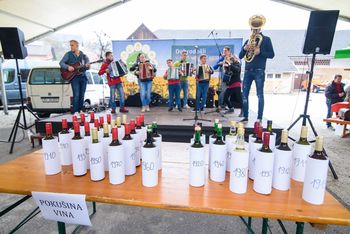 Tudi letos smo na Martinovi tržnici izbirali najbolj všečna mlada vina
