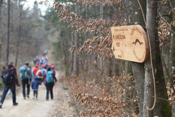 Zakaj osrednja tematika na Jurčičevem pohodu »Poti knjige«?