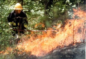 Razglašena je velika požarna ogroženost naravnega okolja